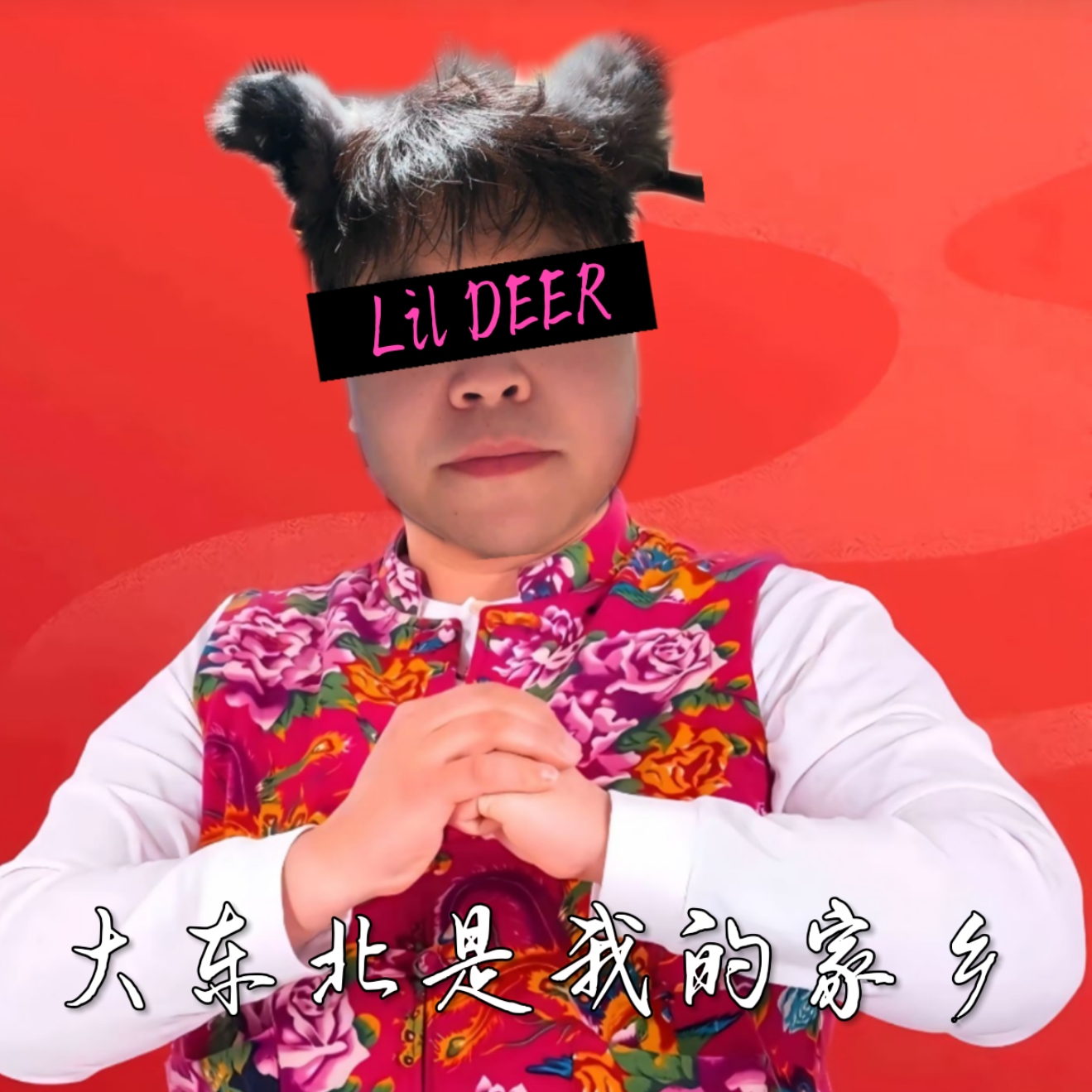 大东北我的家乡 (AI Lil DEER Cover)
