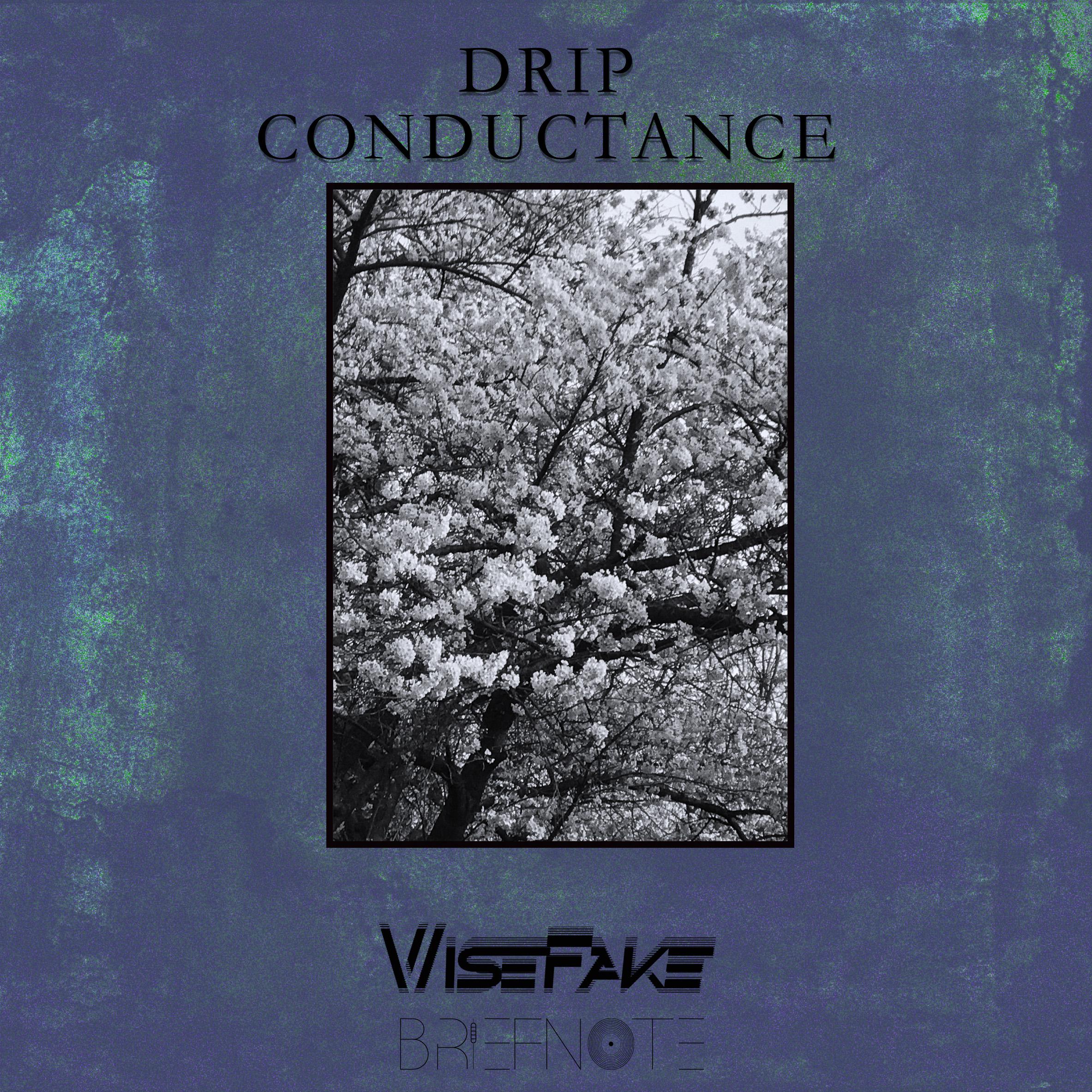 Drip Conductance专辑