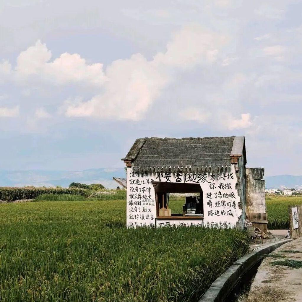 夏野眰恦