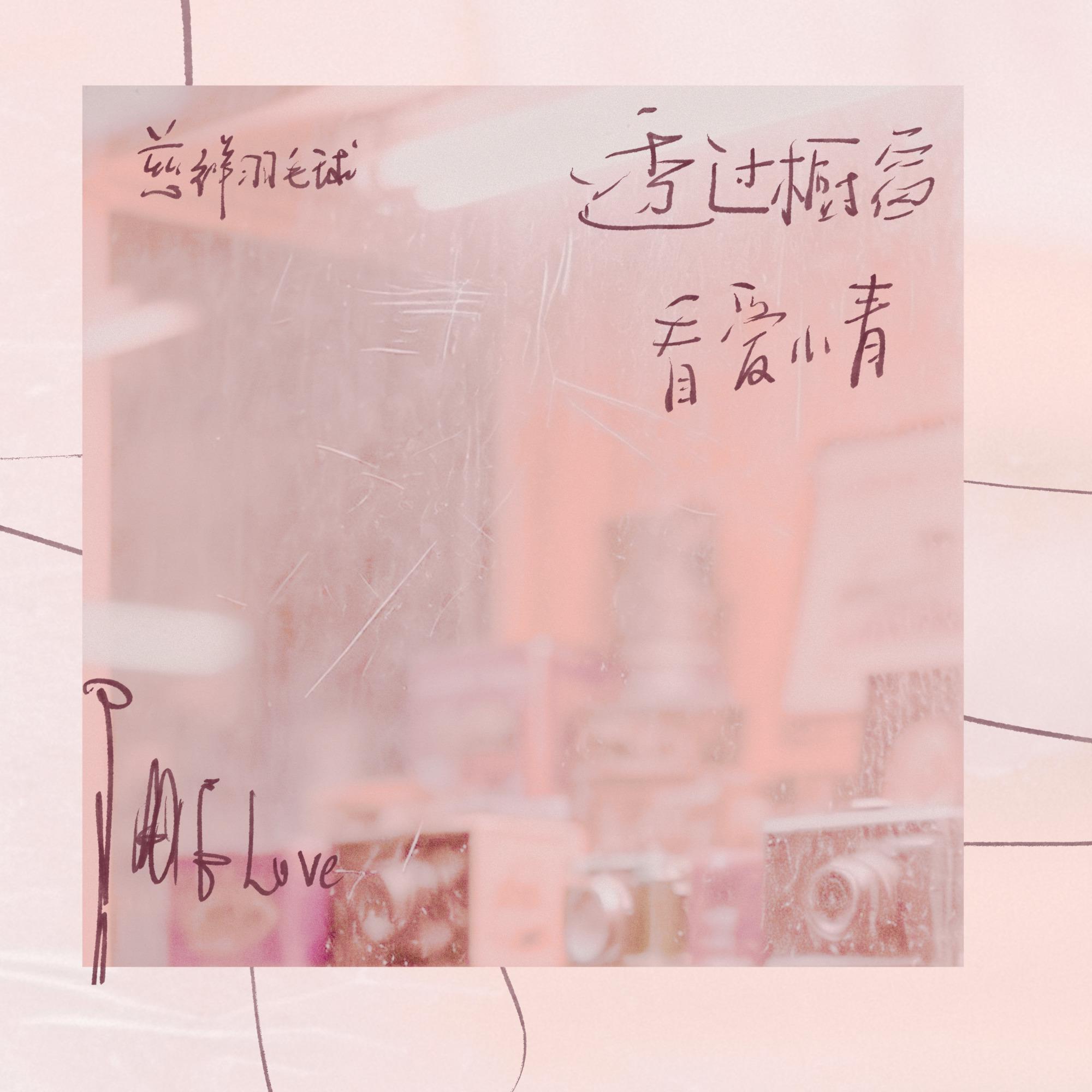 透过橱窗看爱情