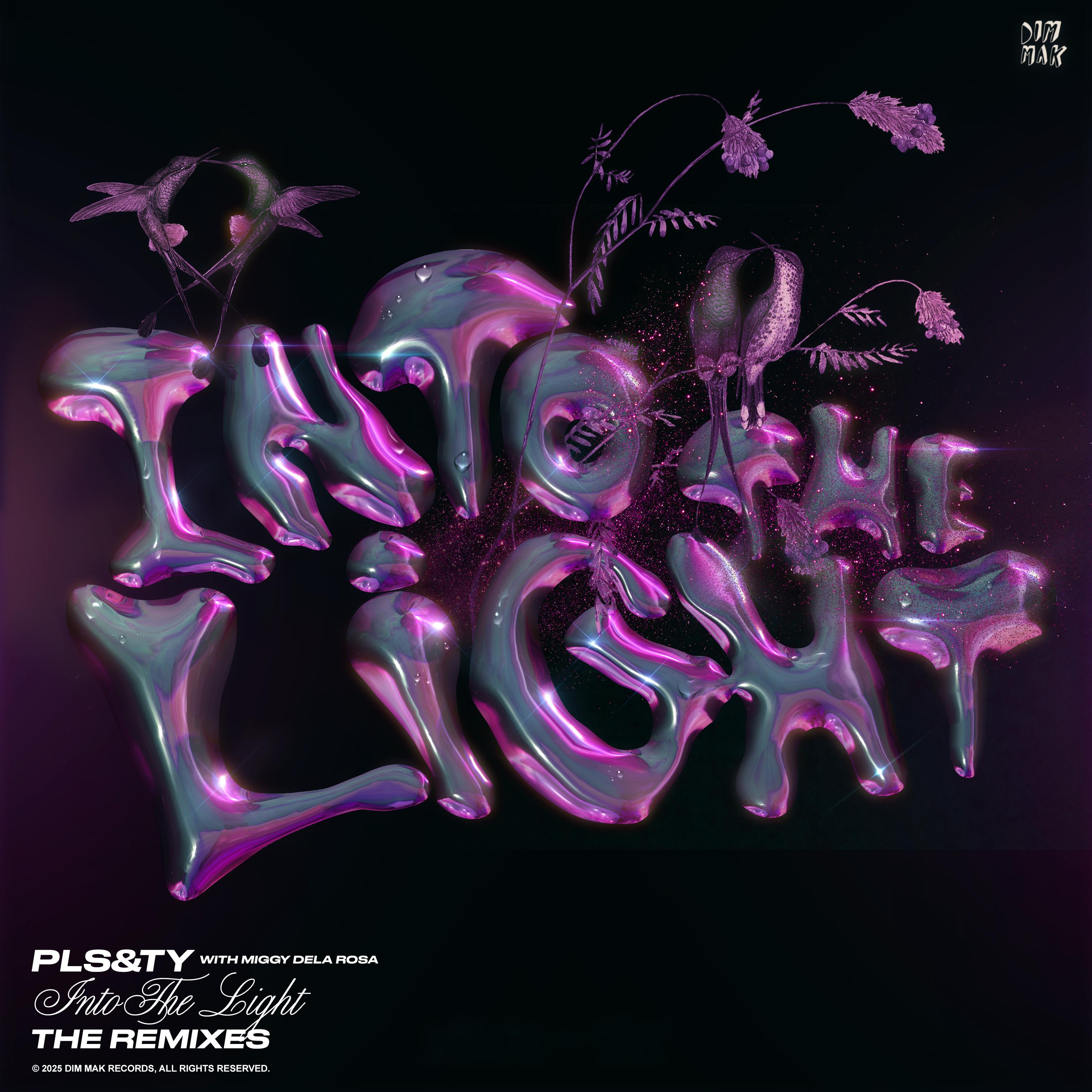 Into The Light (Extended Remixes)