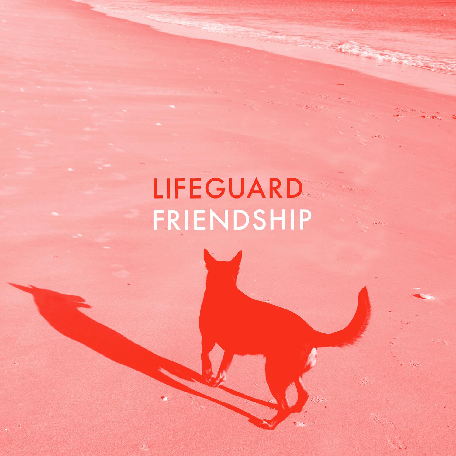 Lifeguard