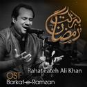 Barkat-e-Ramzan专辑