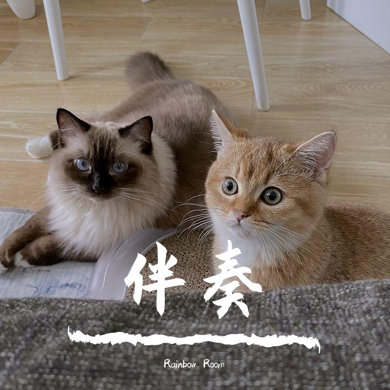 伴奏