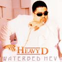 Waterbed Hev专辑