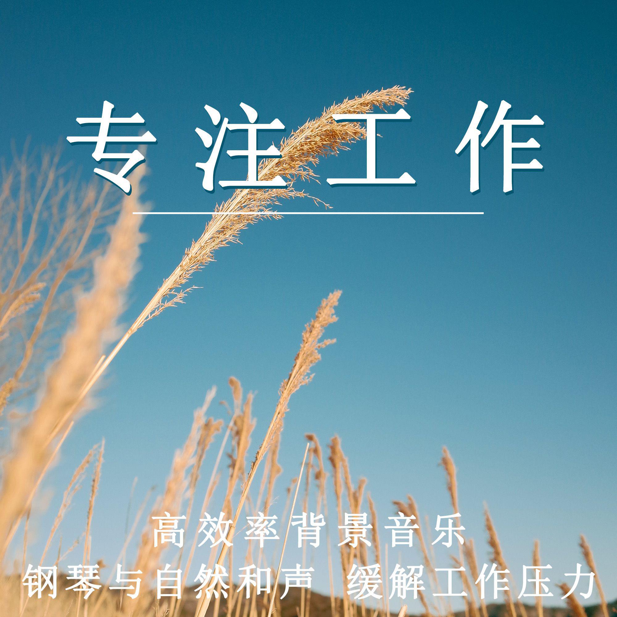 专注工作 高效率背景音乐 钢琴与自然和声 缓解工作压力