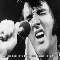 Elvis Presley - Heartbreak Hotel ( Karaoke )