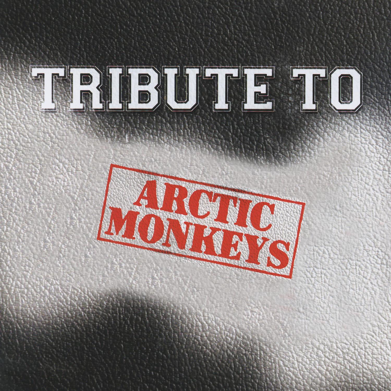 A Tribute To Arctic Monkeys