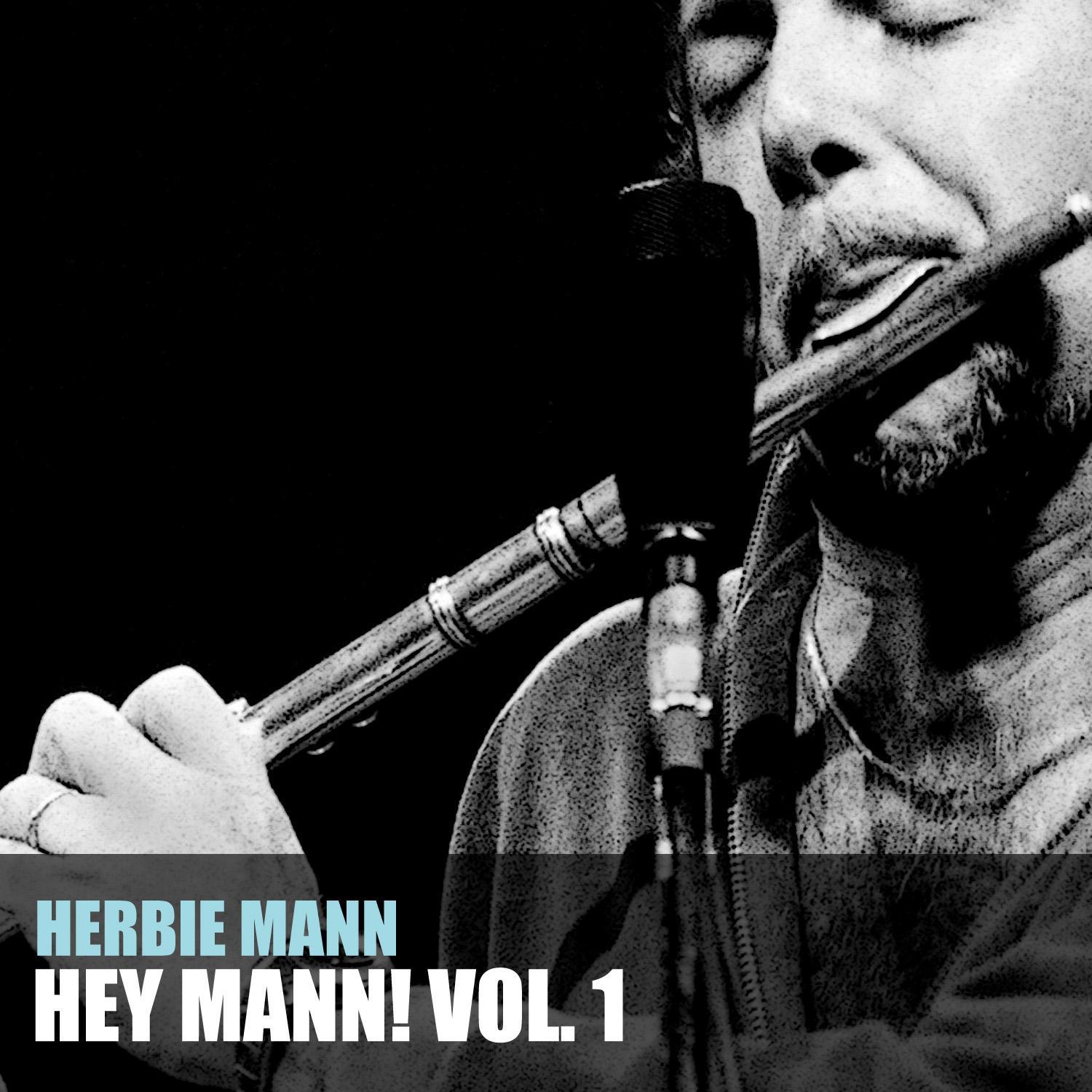 Hey Mann!, Vol. 1