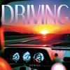 DVNIEL - Driving