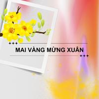 Mai Vàng Mừng Xuân