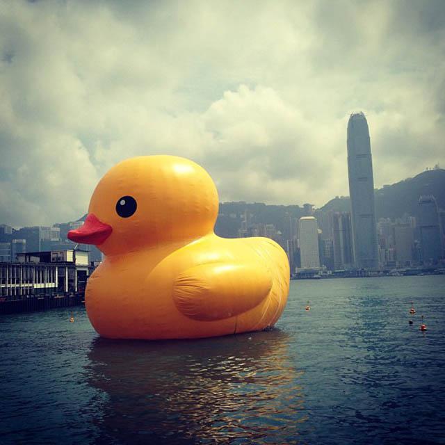 丹宁执着