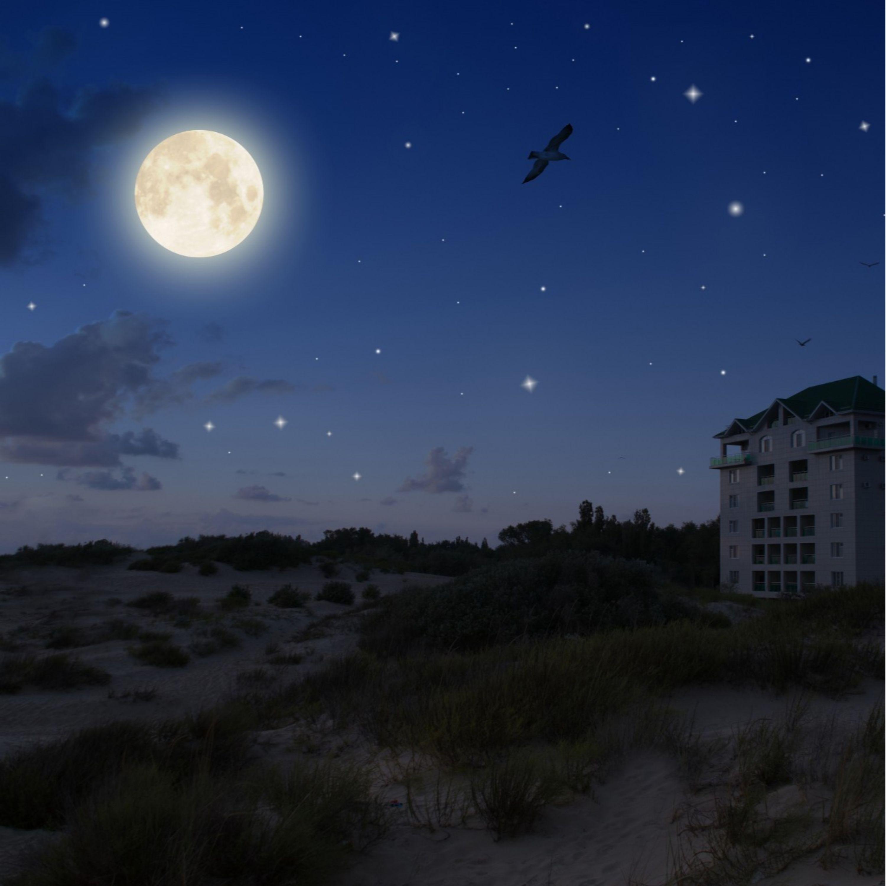 #Calm Melodies | Sleep