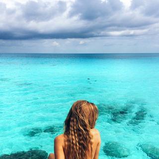 Tropical House 蔚然之道