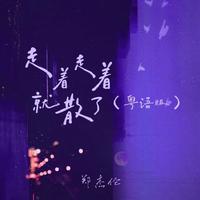 郑杰伦 - 走着走着就散了(DJ停顿版)