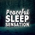 Peaceful Sleep Sensation专辑