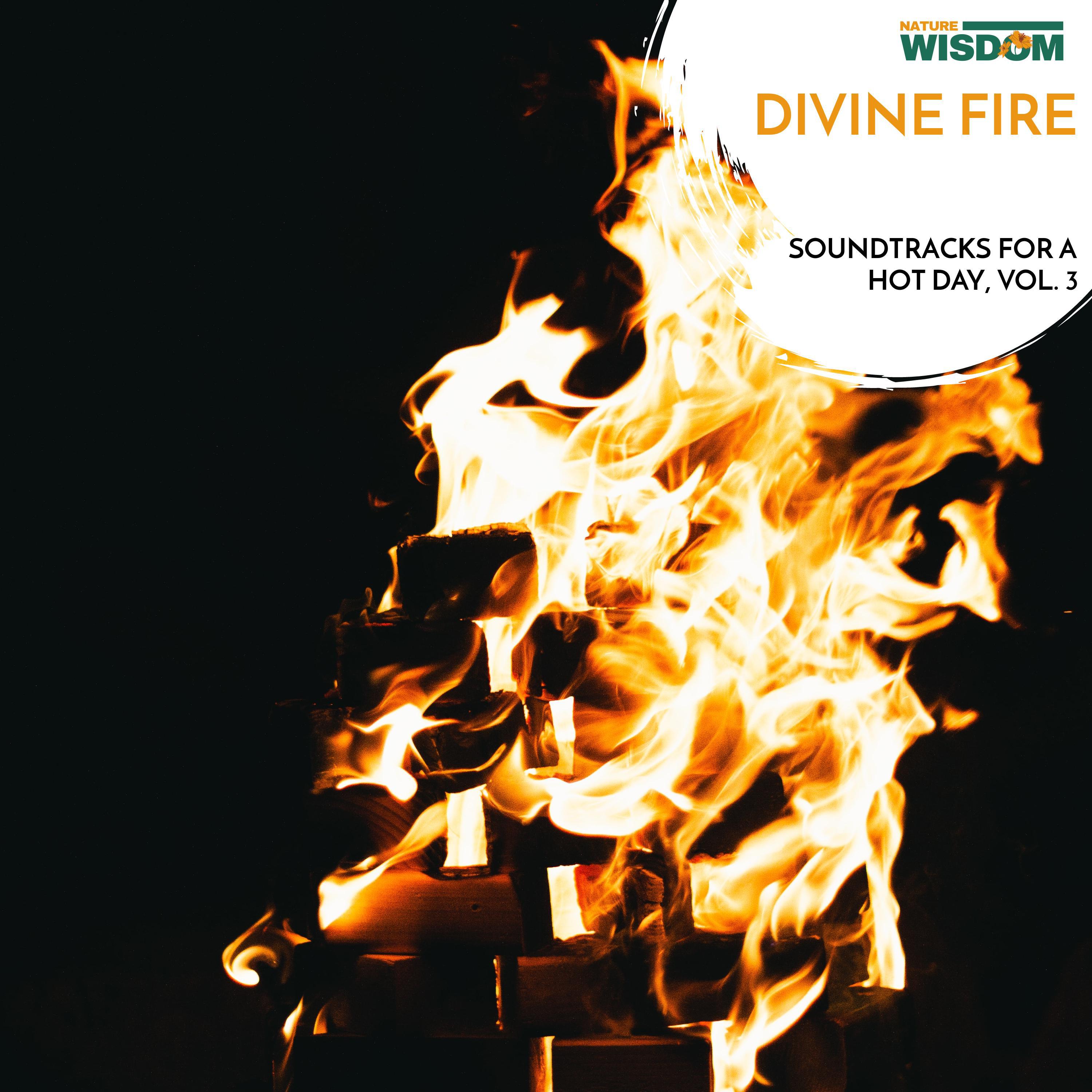 The Crackling Flames Fire Collection - Mental Fire Therapy