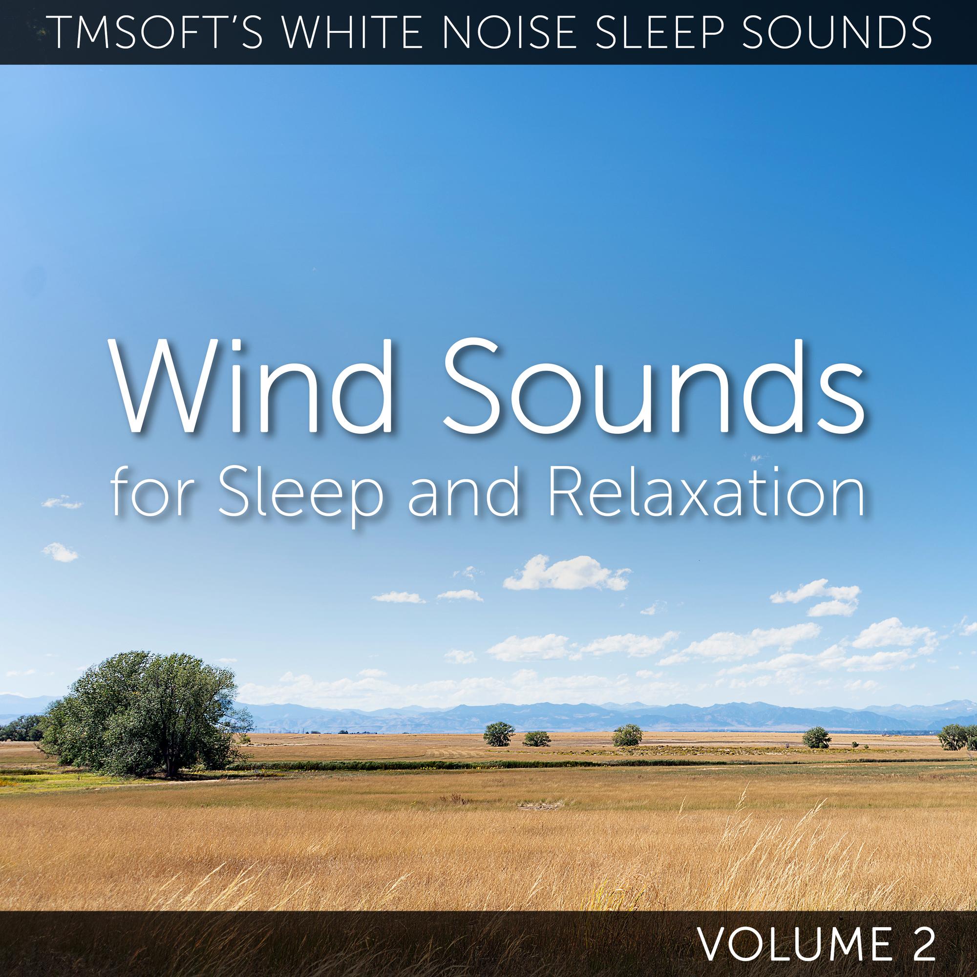 Flags Flapping in the Wind