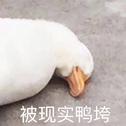 陷阱专辑