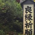 你曾是少年