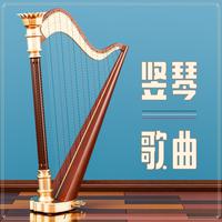 大型晚会开场，比较传统的中国古典音乐