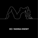 Do I Wanna Know?