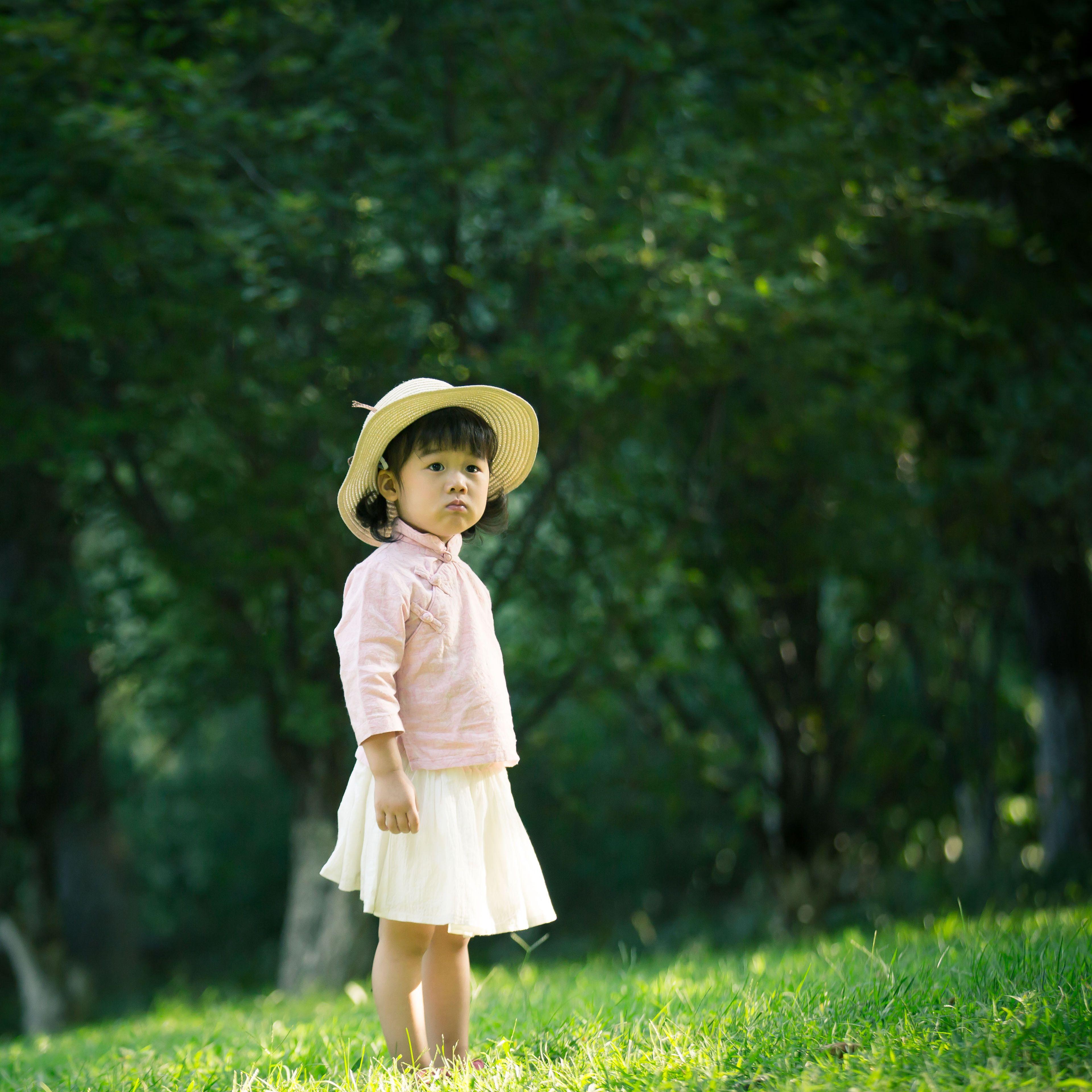 走着走着花就开了