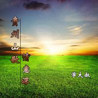 (贵州山歌伴奏)纳雍调1-(贵州山歌伴奏