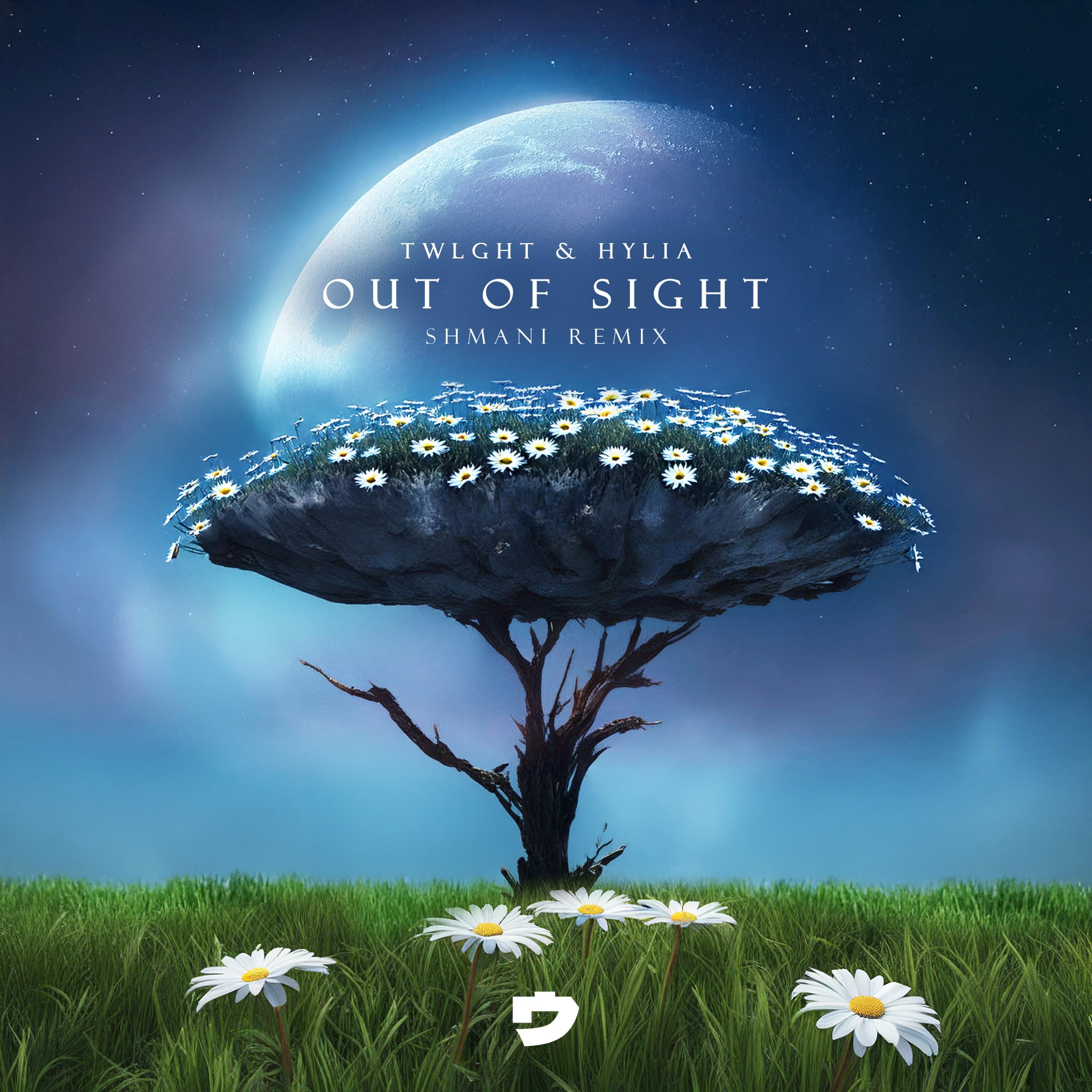 Out of Sight (shmani Remix)
