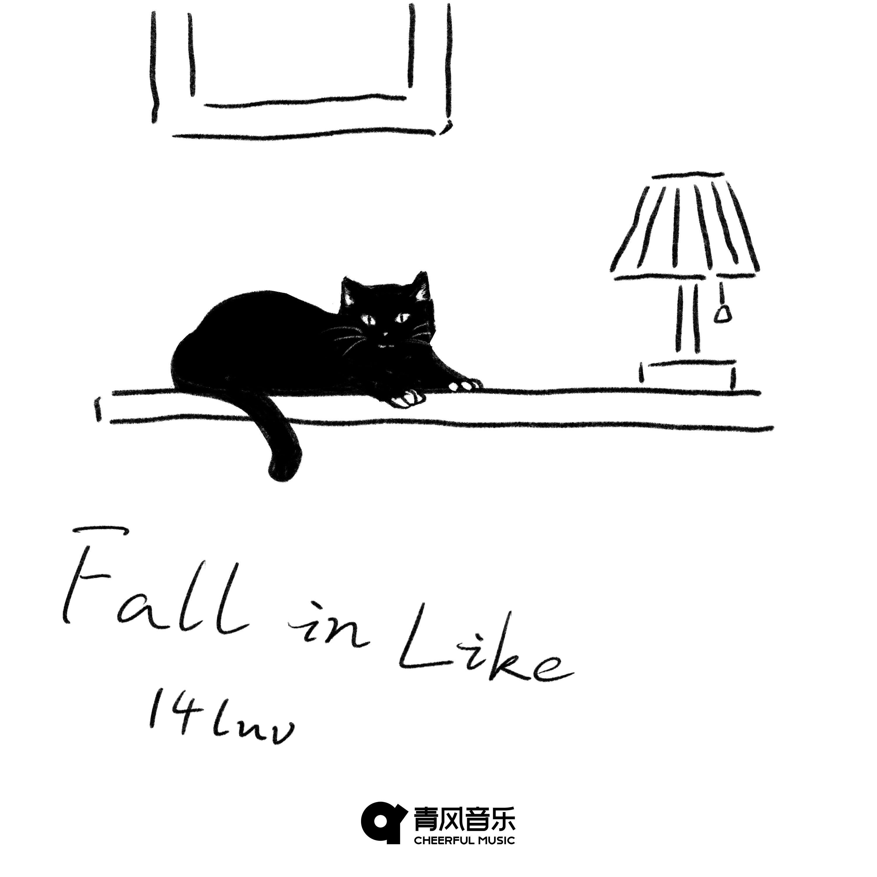 Fall in Like