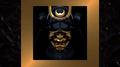 Warrior (DISTO Remix)专辑