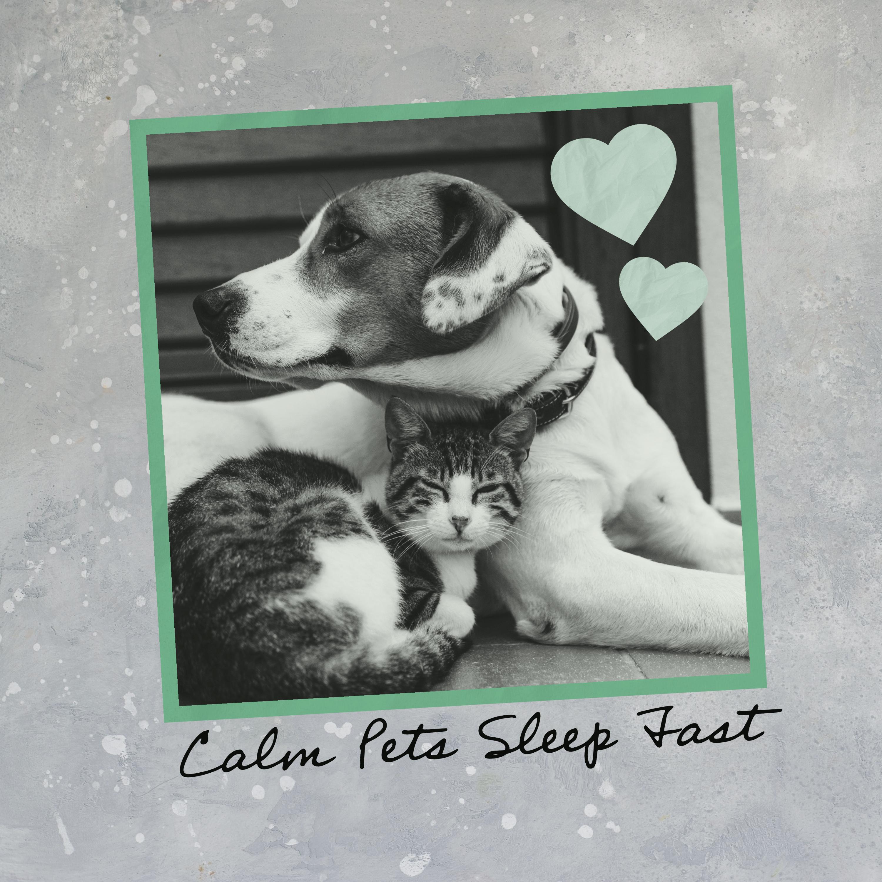 Calm Pets Sleep Fast