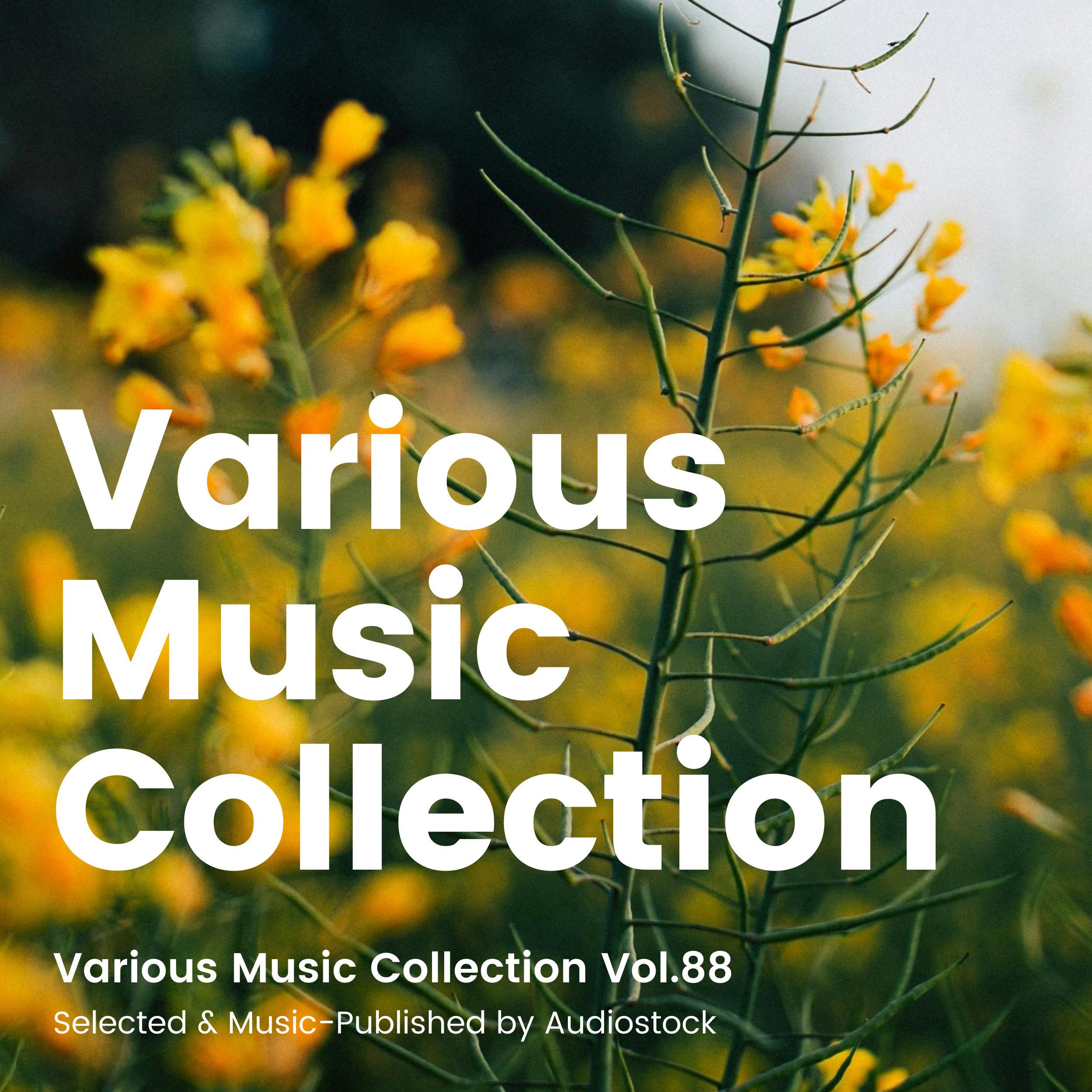 ワイルドな冒険