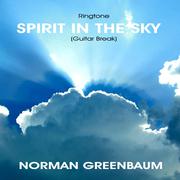 Spirit in the Sky - Guitar Break