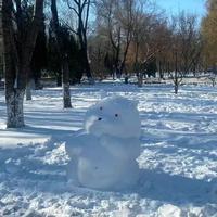 ice