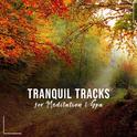 16 Tranquil Tracks for Meditation, Yoga & Spa专辑