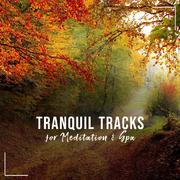 16 Tranquil Tracks for Meditation, Yoga & Spa