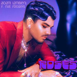 Roses - Adam Lambert & Nile Rodgers (BB Instrumental) 无和声伴奏 （升3半音）