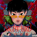 Night Bird (夜行动物)专辑