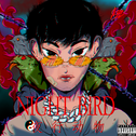 Night Bird (夜行动物)专辑