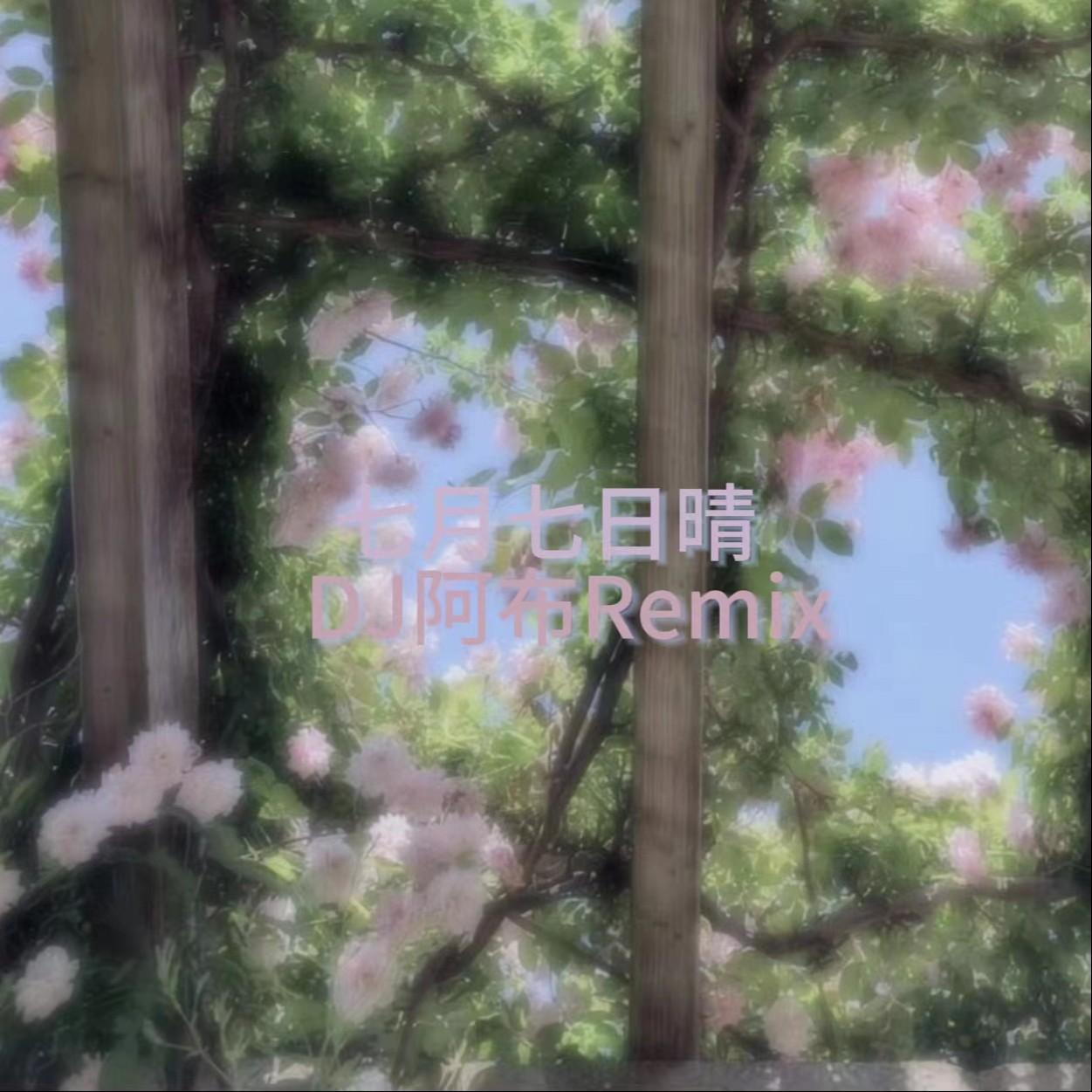 七月七日晴(DJ阿布Remix)