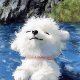 拒绝emo｜不必烦恼 快乐多巴胺在耳边回荡