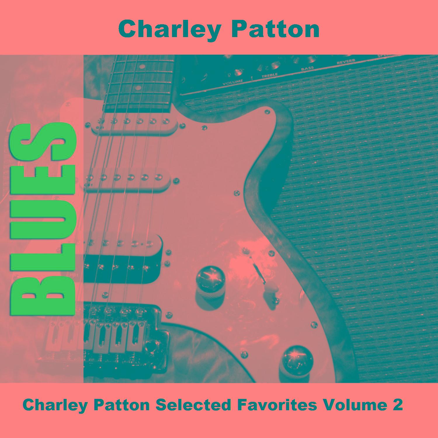 Charley Patton Selected Favorites, Vol. 2