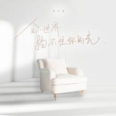 王巨星《全世界挡不住你的光吉他谱》B调_音符带着感情跳动