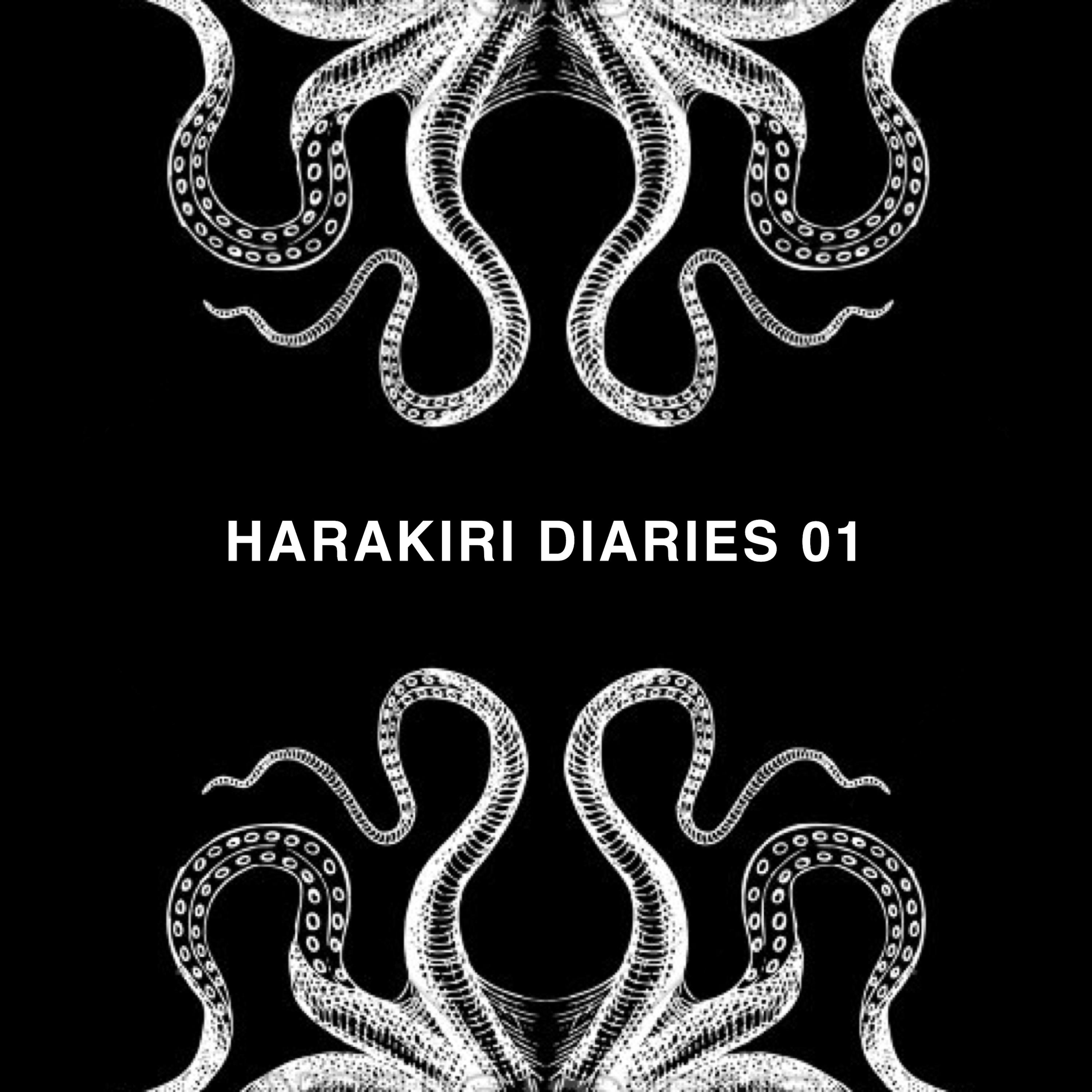 Harakiri Diaries 01专辑