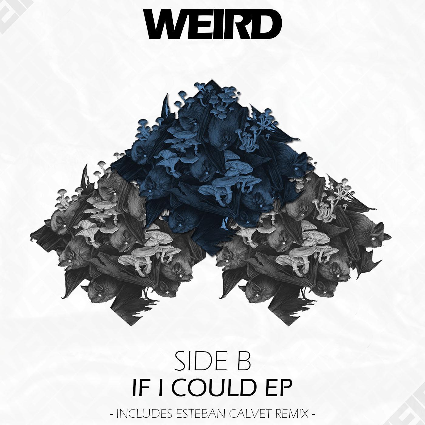 If I Could EP