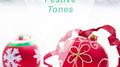 Festive Tones专辑