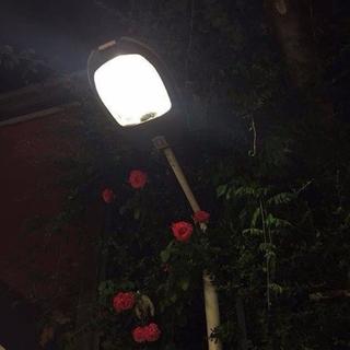 「失戀博物館」装 进 裹 尸 袋 里 的 喪 曲