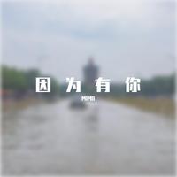 秦顺朝 - 因为有你 (伴奏)