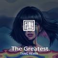 Sia - The Greatest(TANG唐 Remix)